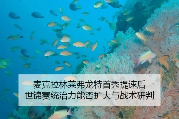 mai-ke-la-lin-lai-fu-long-te-shou-xiu-ti-su-hou-shi-jin-sai-tong-zhi-li-neng-fou-kuo-da-yu-zhan-shu-yan-pan-2-327.jpg